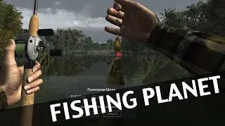 Fishing Planet Калифорния, Трофейный Полосатый Лаврвк