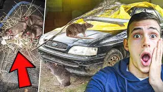 PRONASAO SAM GNEZDO PACOVA U AUTU ! *sve pojeli*