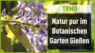 Stadttour durch Gießen: Botanischer Garten – Ein Hort der Natur
