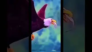 Swift birds of prey.
