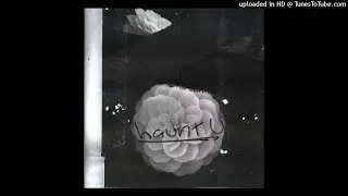 Lil peep - Haunt u [Prod.mysticphonk]