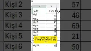 Excel’de Tek Hücrede İki Başlık #excel #exceltips #exceleğitimleri #exceleğitimleri #keşfet