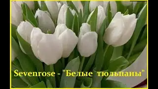 Sevenrose - 