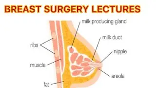 BREAST SURGERY LECTURE PART 4, BENIGN DISEASES OF NIPPLE, nipple diseases 
