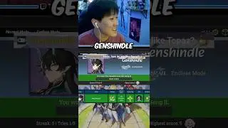 Genshindle Developer in Chat 