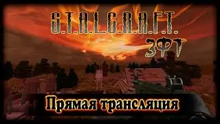 Стрим по S.T.A.L.C.R.A.F.T. - ЗФТ и первые проблемы.