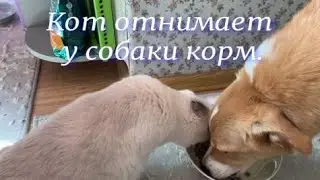 Всё мое.