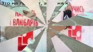 Подборка смешных картинок 3