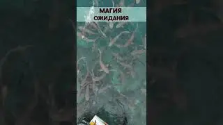 Магия ожидания. The magic of waiting.