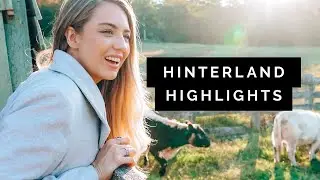 24 Hours exploring the SUNSHINE COAST Hinterland 🇦🇺