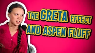 The Greta effect and aspen fluff - New Swedish Words 2019
