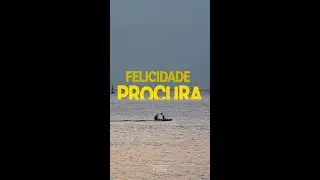 [MENSAGEM do Dia]📜A FELICIDADE PROCURA - Frases motivacionais ✍️ 
