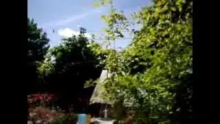 Во дворе