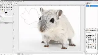 Paths Tool - GIMP 2.8 Beginners' Guide ep32