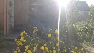 Как просто бросить курить !