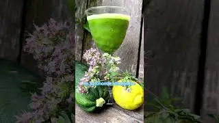 Cueillette et cuisine des plantes sauvages