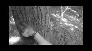 CDTP - Battlefield