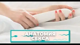 Your First Sex Toy: How to Choose One? 