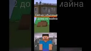 2 игрока детства😞 #майнкрафт#настольгия#дакплей#просефианал#цунами