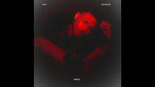 Feels (SHADOW SHOTS Visualizer)