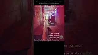 STRAY 🐈 ถ้าฉันทำได้ เธอก็ทำได้ If I can do it, you can do it  #gaming #shorts #adorable #cat #เกม