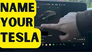 HOW TO NAME YOUR TESLA AFTER PURCHASING IT! Beginners Guide