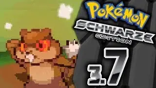 Pokémon Schwarz #3.7 -Die Beschwörung, habt Geduld- [Random²]