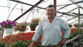 Хозяин Плодородия  это живительная сила для декоративных растений