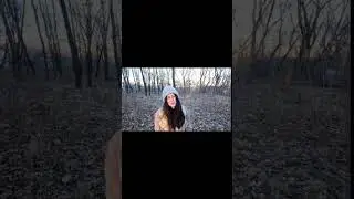 как белка в колесе 