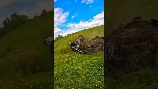 СНЯЛ‼️ 