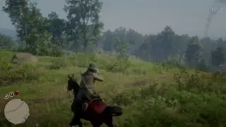 Read Dead Redemption 2 PS4 Pro