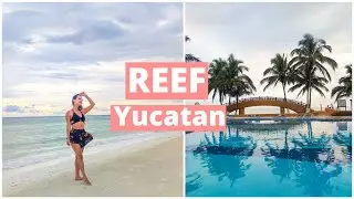 🌤️ Así es hospedarse en el Reef Yucatán! / Sara Alzate