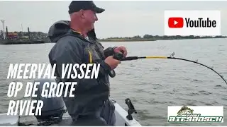 Meerval op de grote rivier