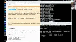 Lecture 2: the Command Line Interface (CLI)