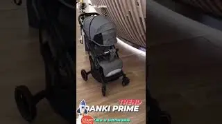 Danki Trend коляска с рождения до 3 лет. для путешествий