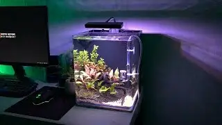 My Own World Nano Aquascape