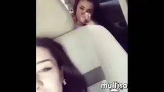 Chocolata multisa