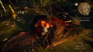 The Witcher 3 Wild Hunt - in the nest of the griffin (mild spoiler)