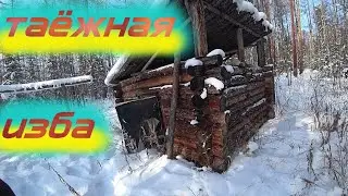 В ТАЙГУ С НОЧЁВКОЙ 