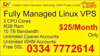 Fully Managed Linux VPS