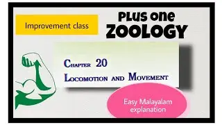 Locomotion and movement Plus one Zoology Revision for Improvement exam Class11