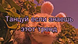 🐾💕Танцуй если знаешь этот тренд 🐾💕