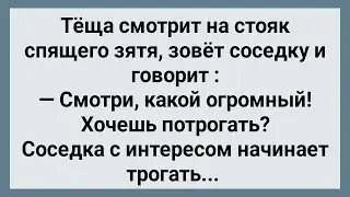 Теща Смотрит На Стояк Спящего Зятя! Сборник Свежих Анекдотов! Юмор!