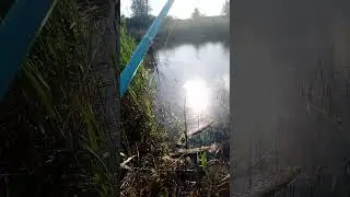 рыбалка