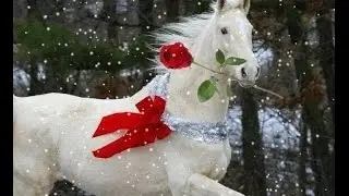 Вот это песня ! Песня уносящая в даль