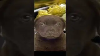 Согласны??