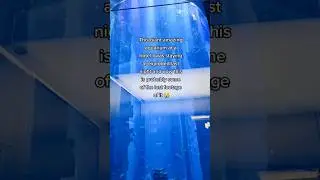 1500 fish died 😭 I'm so sad
