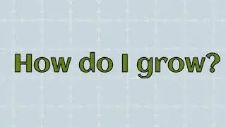 Morning motive questions
