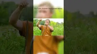 Медянки самец и самка Кто опасней
