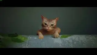 Playing Stray - 2
